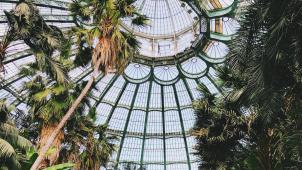 alex-vasey-Vr0VSx36zmc-unsplash