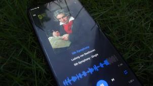 dilip-ale-0C1tvvVHhbs-unsplash