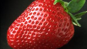 pexels-pixabay-72590