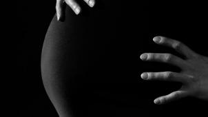 pexels-pixabay-46207