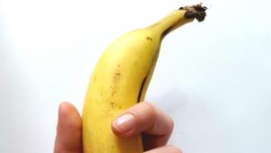 pexels-kimona-2280926