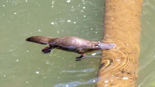 ronald-bradford-zmDMaTbEe-Y-unsplash