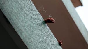 s-alb-12PTPqjt2mc-unsplash