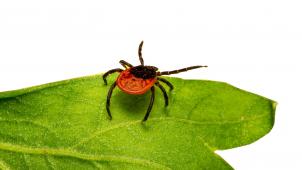 erik-karits-H54g5f3inYs-unsplash copy