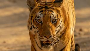 hans-jurgen-mager-Fbdr6gXJBVY-unsplash