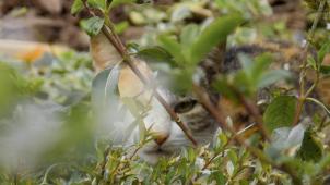 viviane-pasta-KpC9gWo8gHc-unsplash