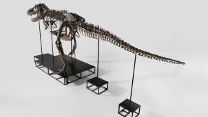 Trinity_Seitenansicht_Final-1