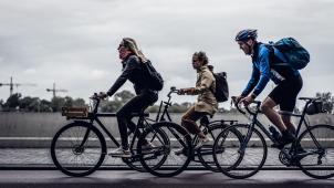 dovile-ramoskaite-x8rDSFN2DpY-unsplash