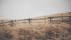 fabian-mardi-WYD0Gzym3Y0-unsplash