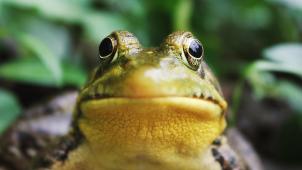 jack-hamilton-EP_OHkgn1JI-unsplash