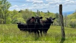 346053288_977718793244753_563556