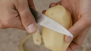 pexels-cottonbro-studio-6636764