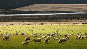 martin-bisof-xsIOCYmlI1g-unsplash