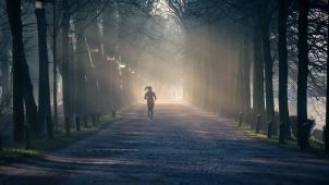 pexels-philip-ackermann-878151