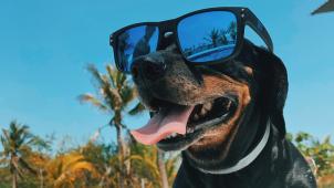 mel-elias-hhegBj6iJ5E-unsplash