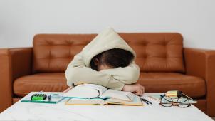 pexels-karolina-grabowska-een slapende student tijdens het studeren-5 survivalti