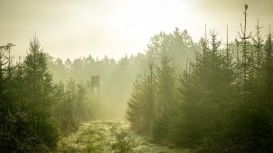 nicolai-durbaum-PXGvsl0jQcE-unsplash