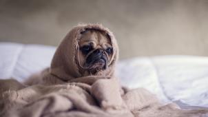 matthew-henry-2Ts5HnA67k8-unsplash