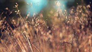 anders-jilden-u0jggBjpFQo-unsplash