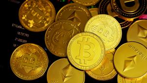 kanchanara-fsSGgTBoX9Y-unsplash