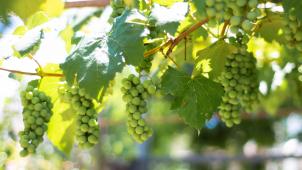 lucas-george-wendt-hEi7bnrhX58-unsplash