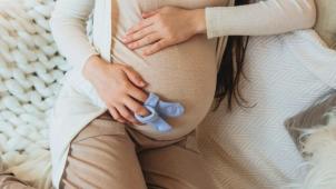 B9734578339Z.1_20230621130710_000+G6KN0I7LK.1-0