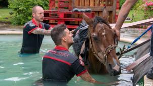 357400773_6933375783373169_2817281648781554501_n