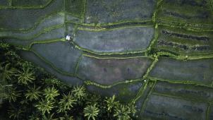 szabolcs-toth-z3YUze_04_U-unsplash