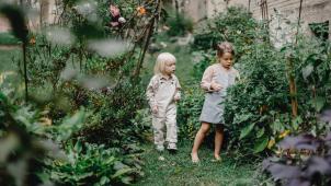 pexels-allan-mas-5624237