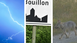 Ontwerp zonder titel