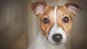 sherry-wright-J_hv9EHmIdE-unsplash