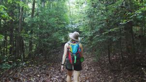 elise-zimmerman-GRwfAjpTi84-unsplash