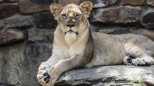 katie-montgomery-z3oQQV37Jns-unsplash