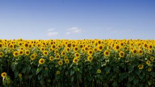 bonnie-kittle-5US9_Gep0qY-unsplash