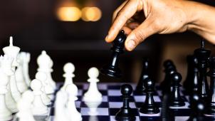 vd-photography-Bwt5M8z1kXg-unsplash