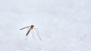 wolfgang-hasselmann-nZgpg4xYhjM-unsplash