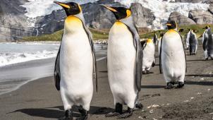 hubert-neufeld-j-udI4zim2E-unsplash