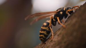 dave-lz-u9MfsFa2QeI-unsplash