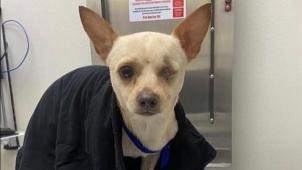 75774827-12554377-image-a-55_169