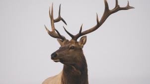 y-s-aJuv14zf-ZY-unsplash (2)