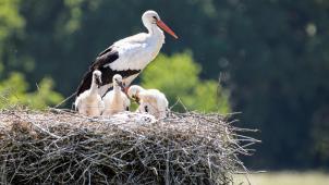 maurice-schalker-biJCd2N-1ms-unsplash