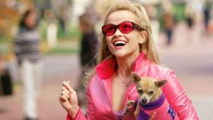 legally blonde