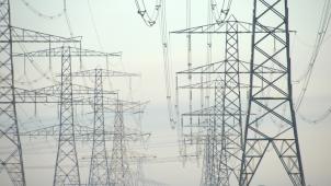 anja-van-de-gronde-PY7r5dJ_v-Y-unsplash