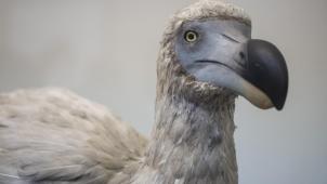 Belgaimage-78952076 (2)