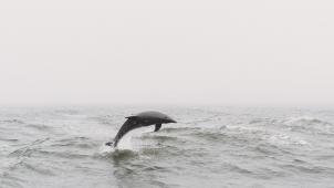 steven-van-elk-sSzhXtCaR1Q-unsplash