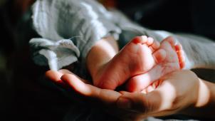 omar-lopez-vTknj2OxDVg-unsplash (4)