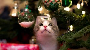 kevin-turcios-sr5pLvYhBeg-unsplash