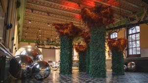 4ce5c6d.dsc-7142-0x0