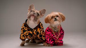 karsten-winegeart-qy0BHykaq0E-unsplash