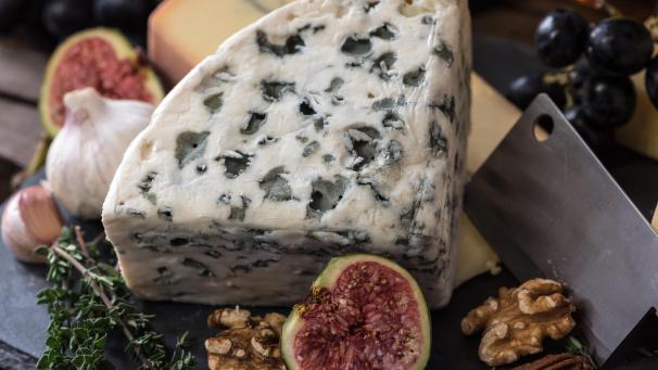 jez-timms-gMW2NZ7JGrE-unsplash